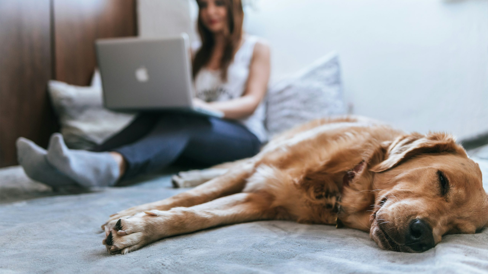 a woman is sitting on a bed with a dog on her lap at The  Reid Apartments